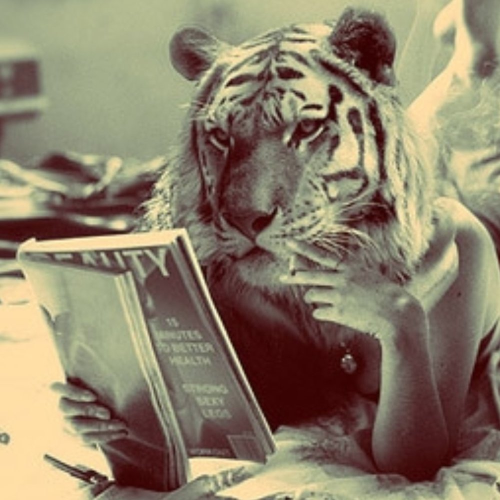 Meet your Posher, Therese